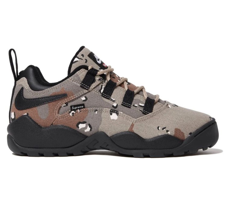Send Offers Supreme Nike Sb Darwin Low Camo