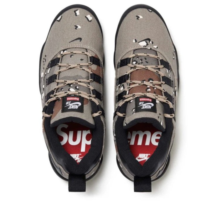 Send Offers Supreme Nike Sb Darwin Low Camo