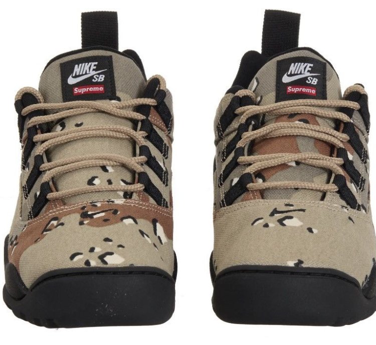 Send Offers Supreme Nike Sb Darwin Low Camo