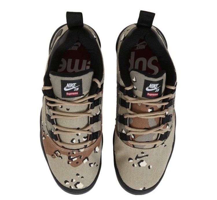 Send Offers Supreme Nike Sb Darwin Low Camo