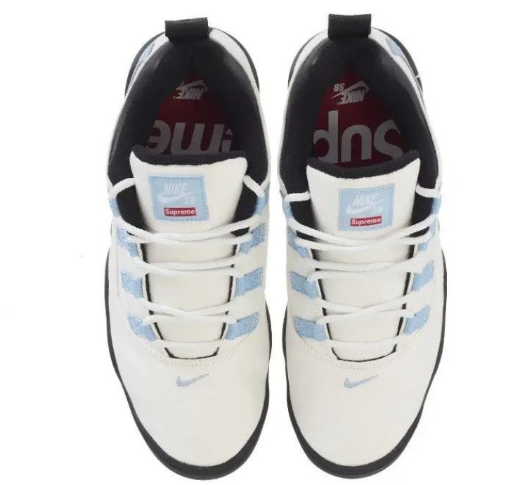 Size 9 5 Nike Sb Supreme Darwin Low White