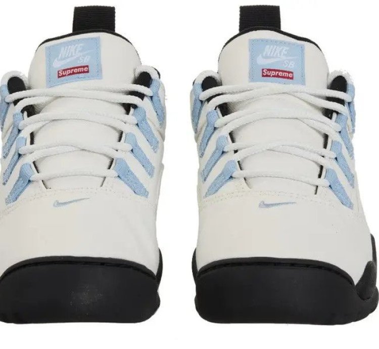 Size 9 5 Nike Sb Supreme Darwin Low White