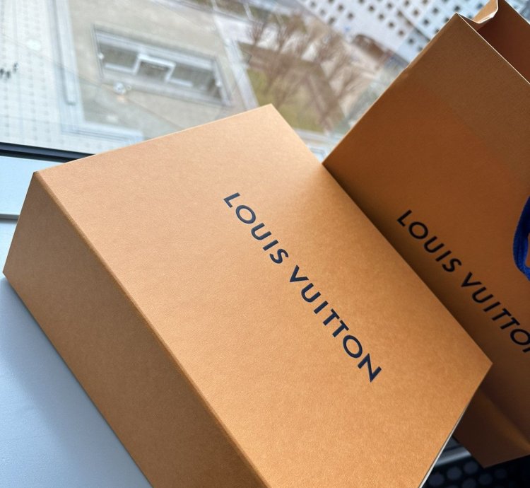 Sneaker Lv Trainer