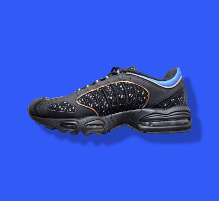 Supreme Air Max Tailwind 4 Black Cobalt 2019