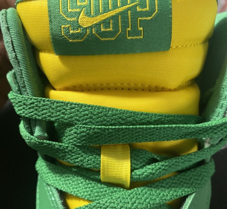 Supreme Dunk High