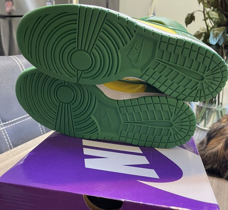 Supreme Dunk High By Any Means Necessary