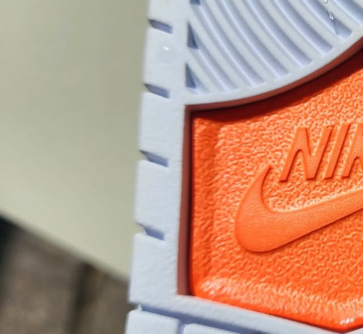 Nike Sb Dunk Low Pro Tightbooth