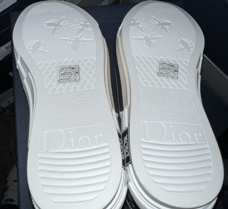 B23 Dior Mens High Top Chuck