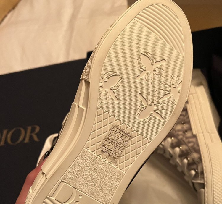 B23 Dior Oblique