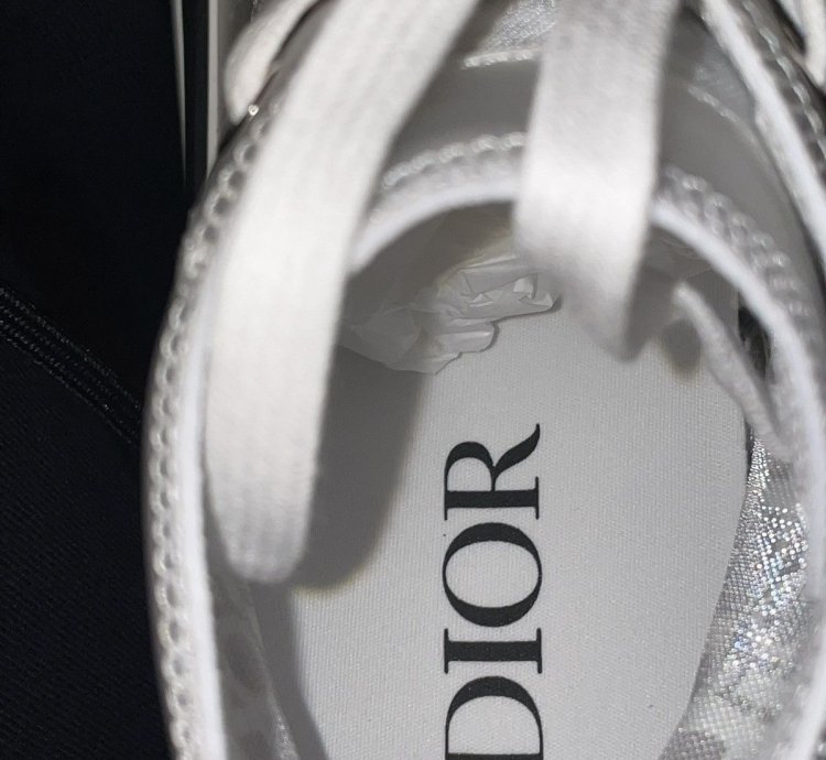 B23 High-top Sneaker White Dior Oblique Trasparenc Canvas