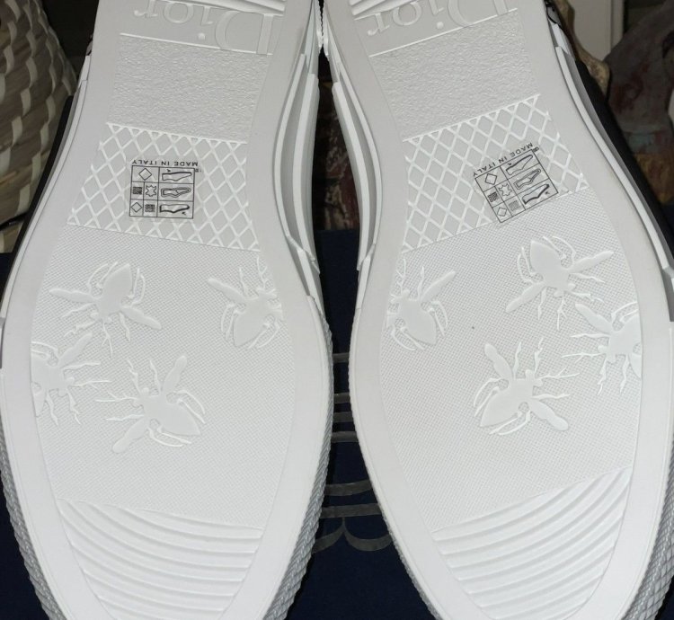 B23 High-top Sneaker White Dior Oblique Trasparenc Canvas