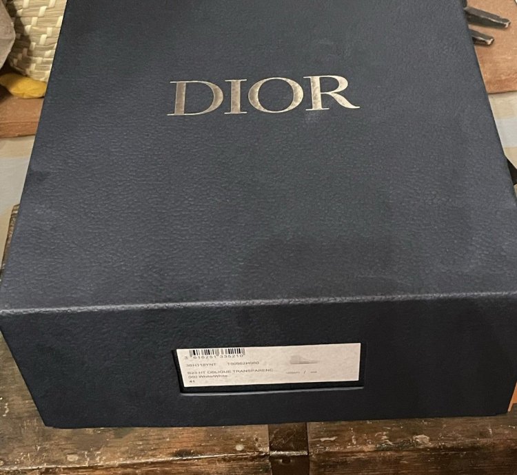 B23 High-top Sneaker White Dior Oblique Trasparenc Canvas