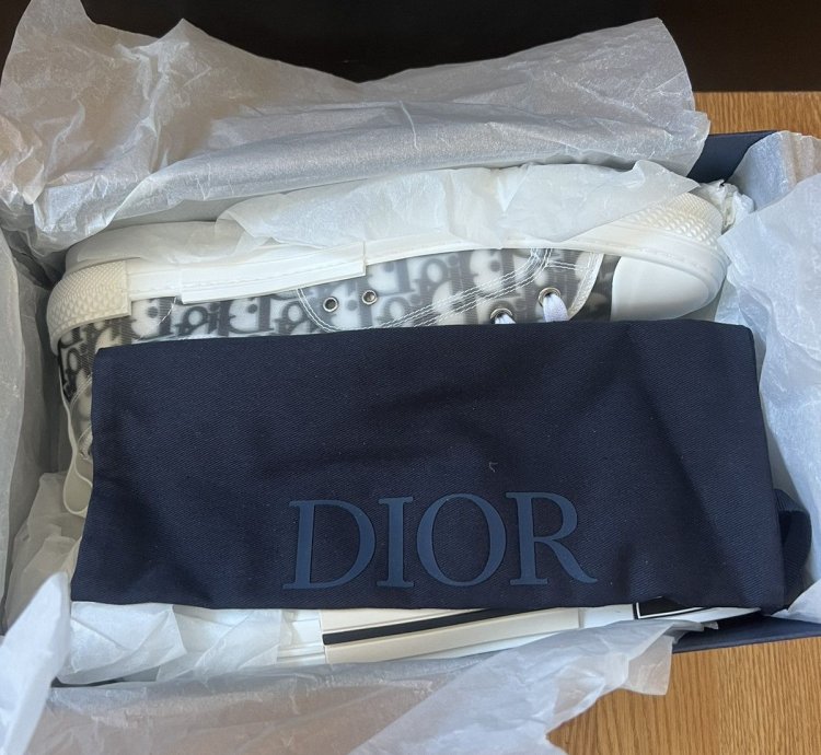 B23 Low Dior Oblique