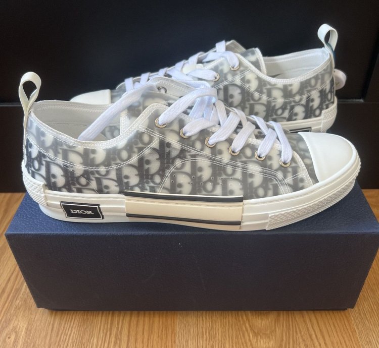 B23 Low Dior Oblique