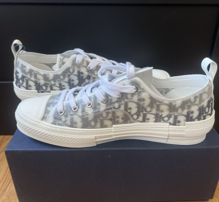 B23 Low Dior Oblique