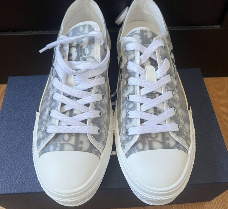 B23 Low Dior Oblique