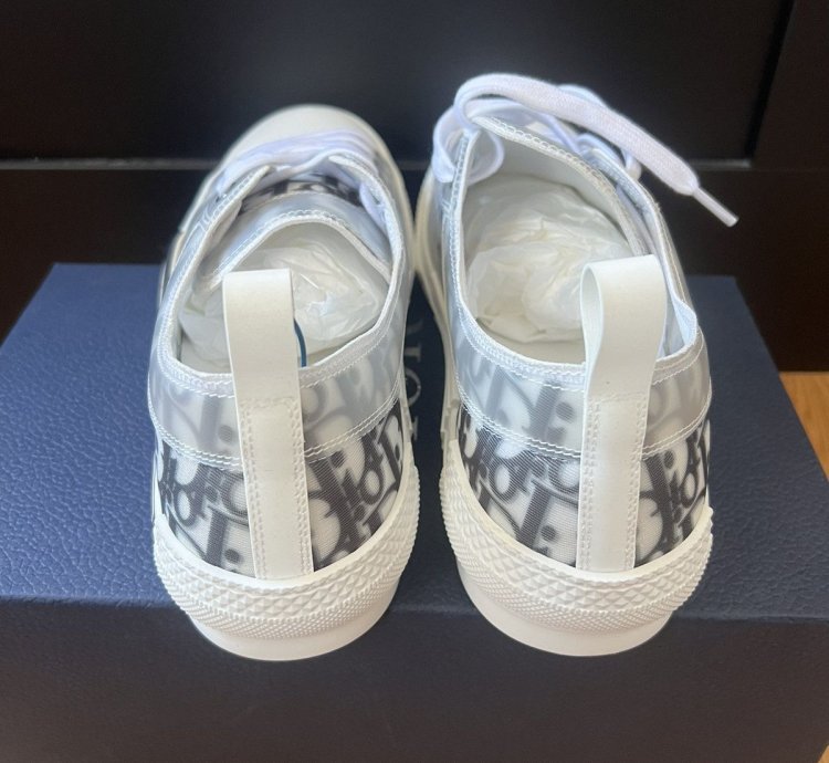 B23 Low Dior Oblique