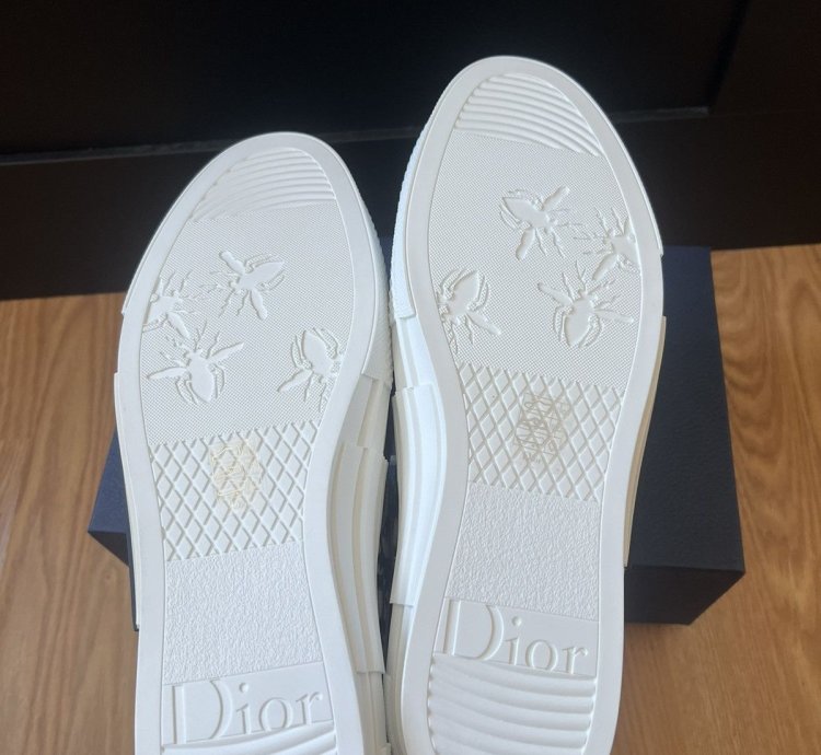 B23 Low Dior Oblique