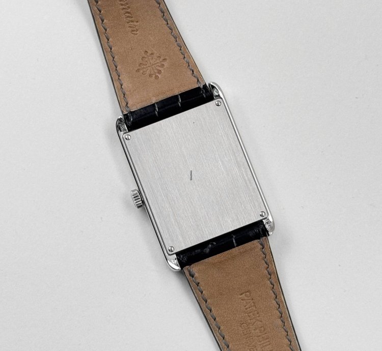 Patek Philippe 5076 100p-013 Platinum Cloisonn Enamel Tiger Dial Rare 2013