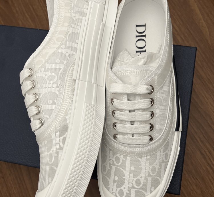 B23 Low-top White Dior Oblique Canvas