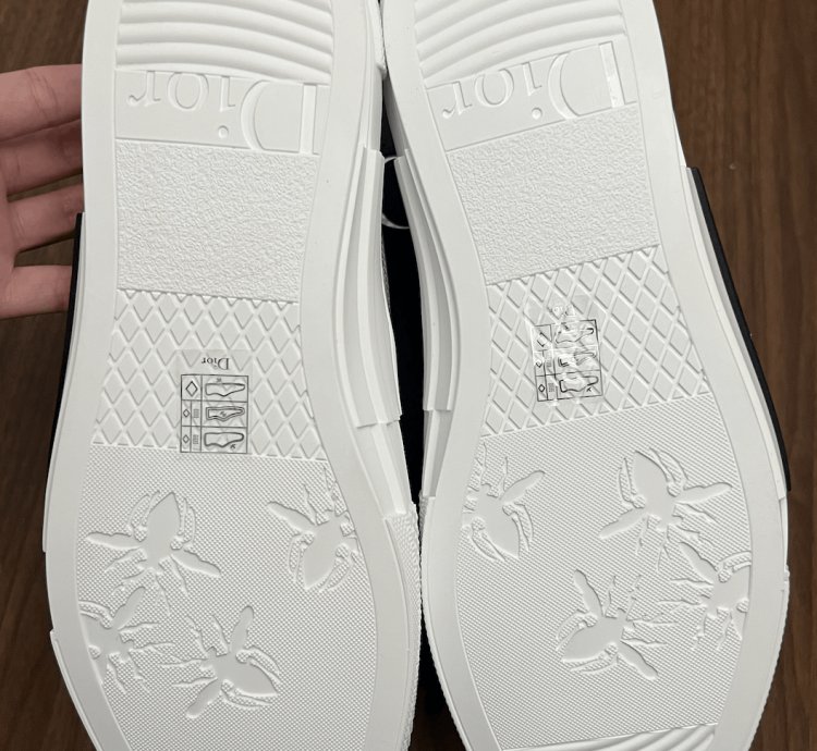 B23 Low-top White Dior Oblique Canvas