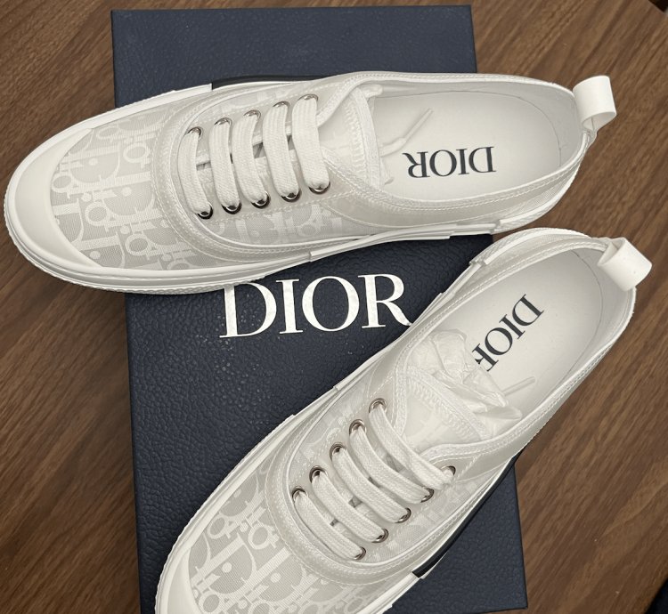 B23 Low-top White Dior Oblique Canvas