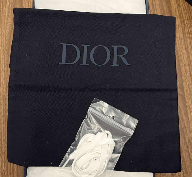B23 Low-top White Dior Oblique Canvas