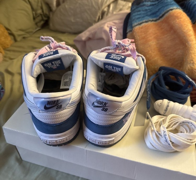 Born Raised Sd Nike Dunks