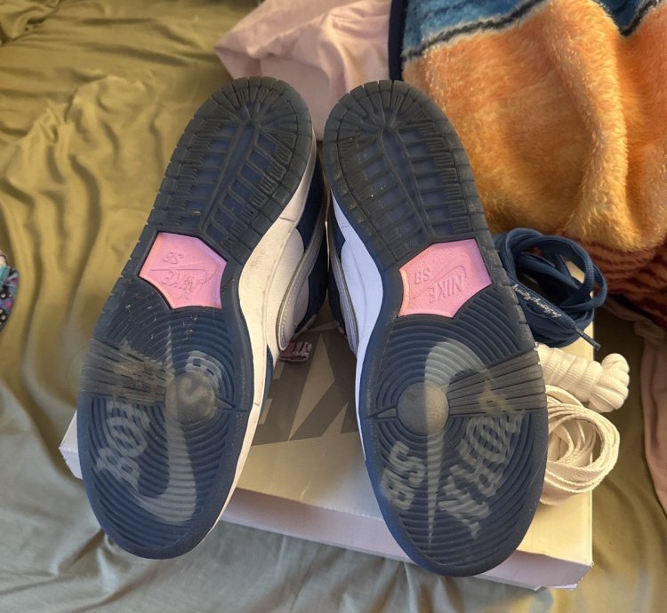 Born Raised Sd Nike Dunks