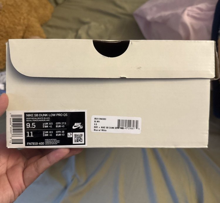 Born Raised Sd Nike Dunks