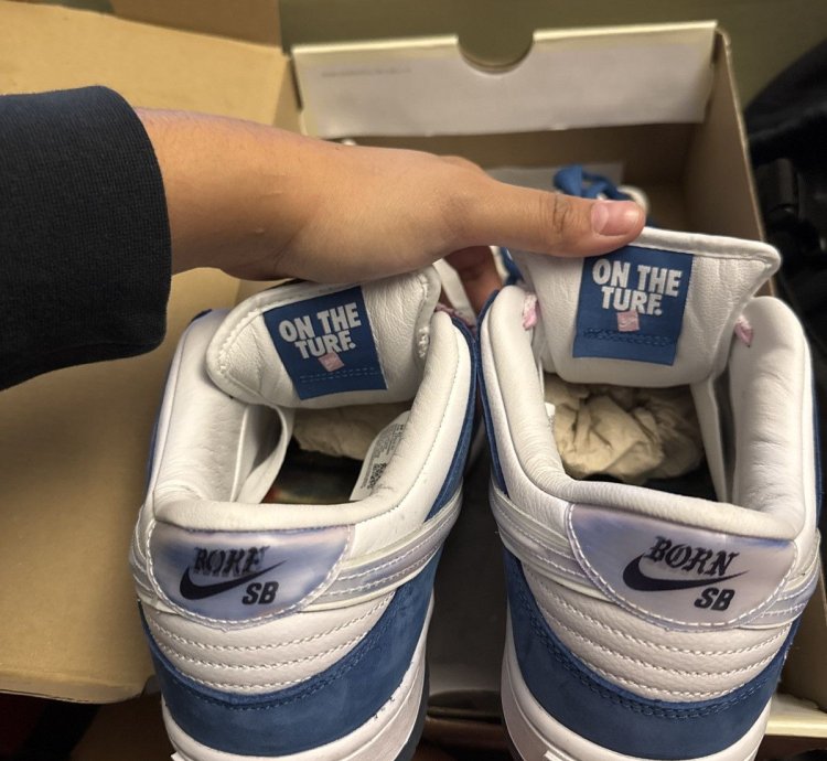 Born Raised Sd Nike Dunks