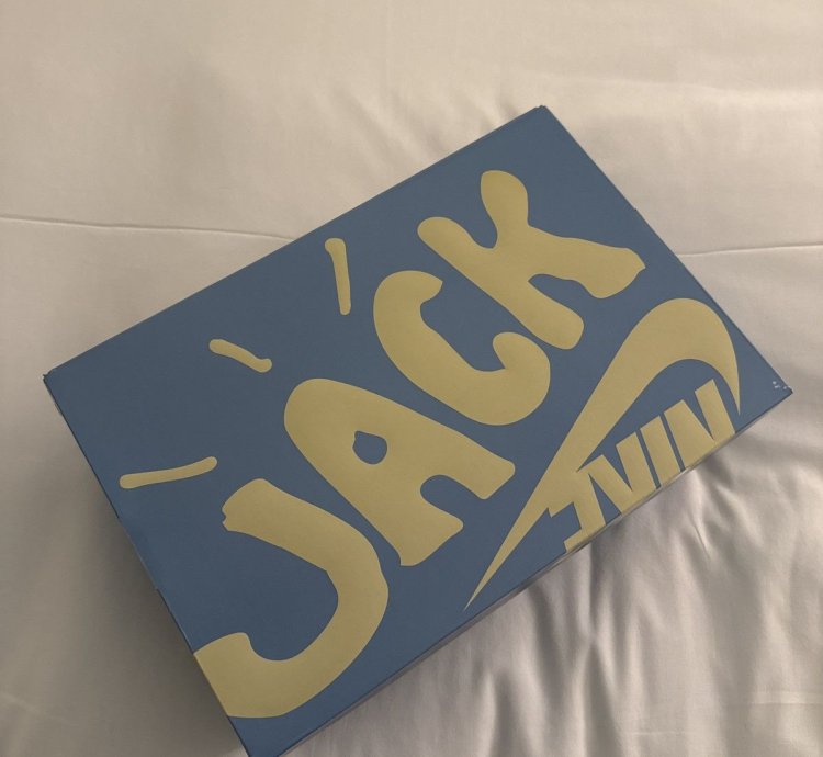 Cactus Jack Nike Zoom Field Jaxx
