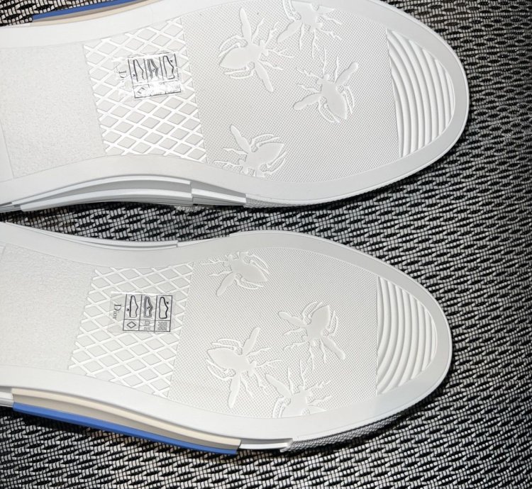 B23 Slip-on Sneaker Oblique Tapestry