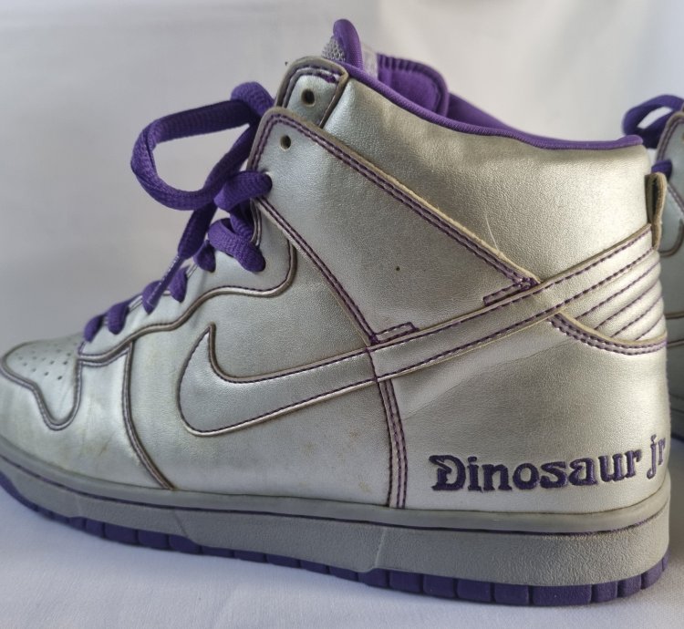 2007 Nike Dunk High Premium Sb Dinasour Junior