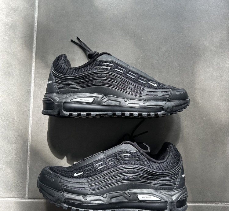 Comme Des Garcons Air Max Tl 2 5 Sp