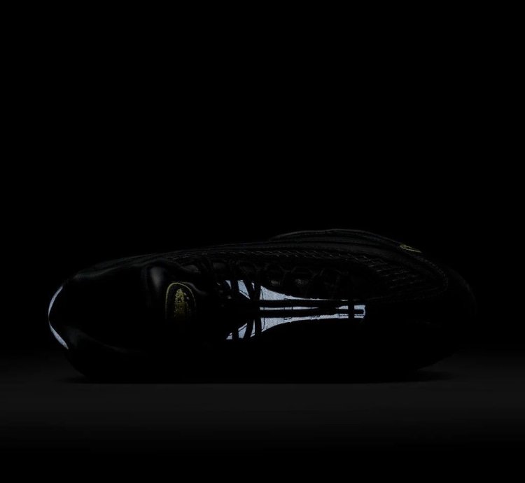 Corteiz Nike Air Max 95 Honey Black Size 10