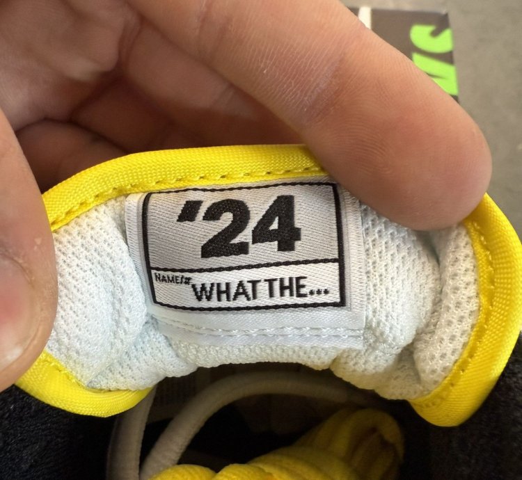 2024 Nike Dunk Low What The Duck Away University Of Oregon