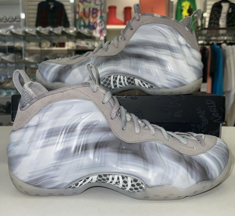 Air Foamposite One Qs Dream World - Tech Grey - Worn