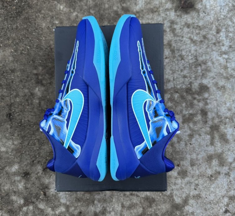 Kobe 5 -ray