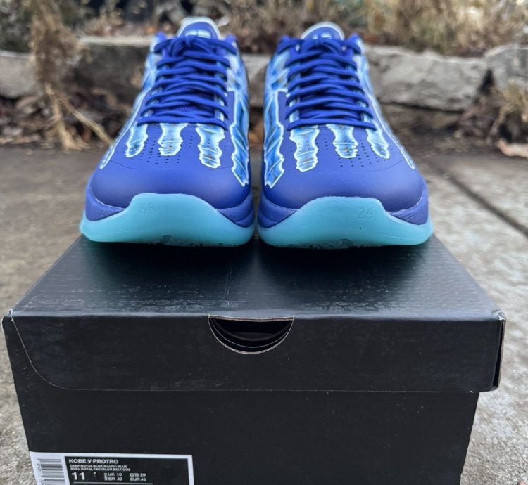Kobe 5 -ray