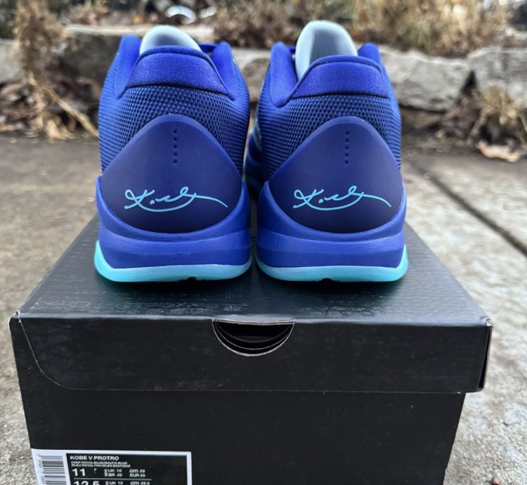 Kobe 5 -ray