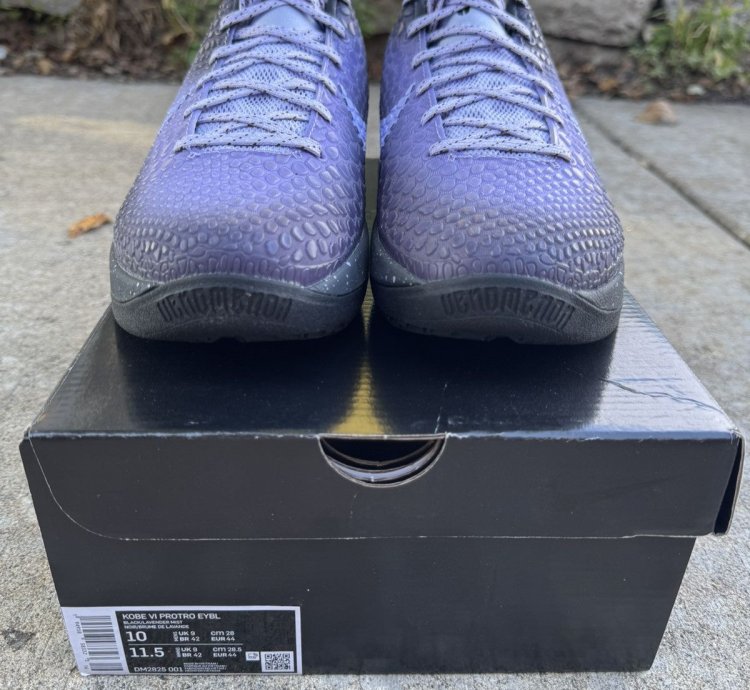 Kobe 6 Protro Eybl