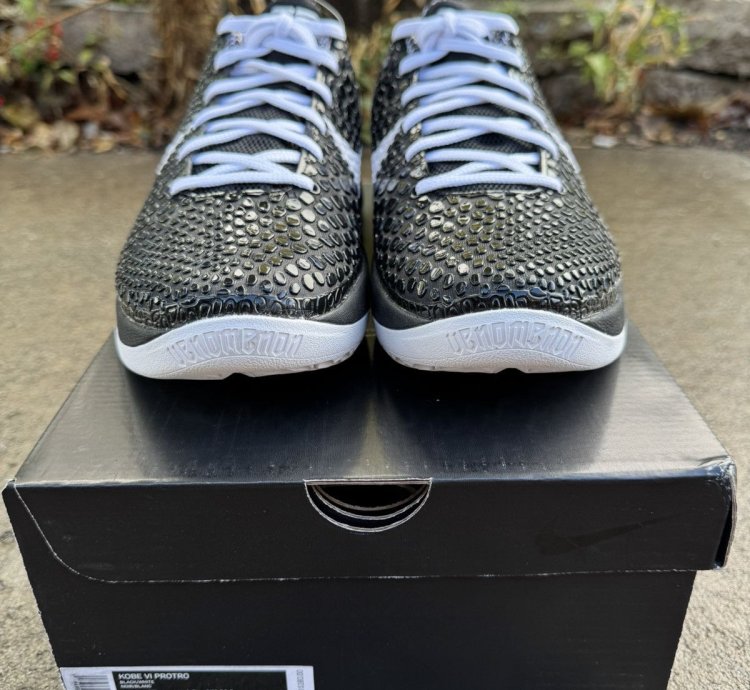 Kobe 6 Protro Mambacita