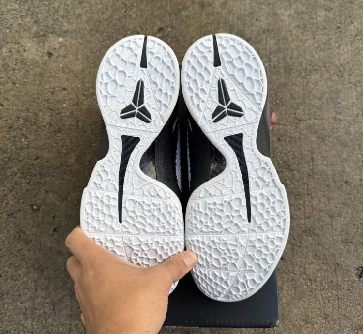 Kobe 6 Protro Mambacita