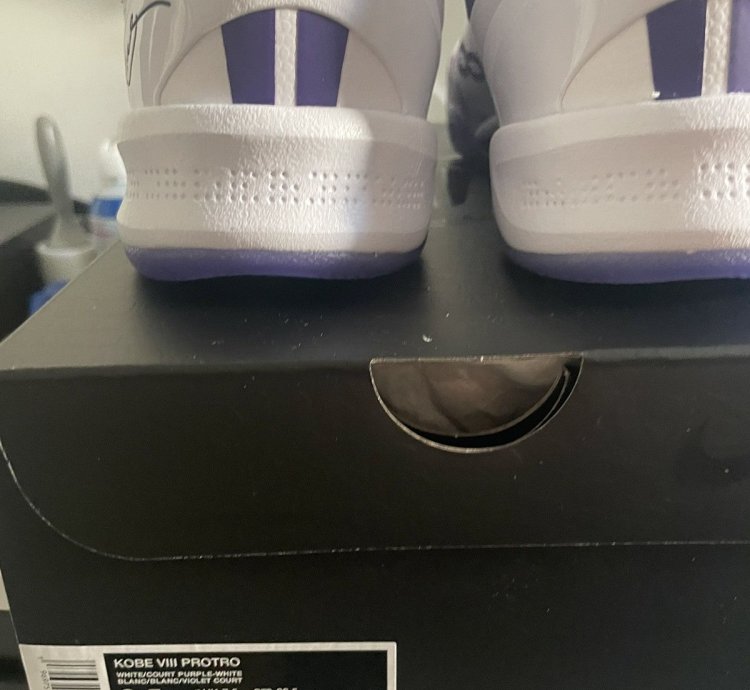Kobe 8 Protro Court Purple