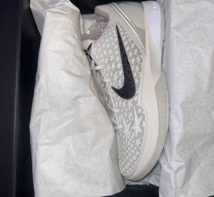 Kobe Vi Protro