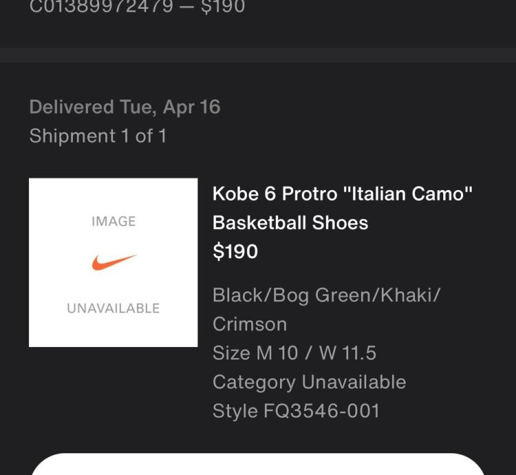 Kobe Vi Protro Italian Camo