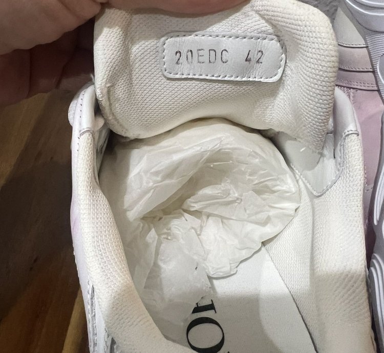 Cd1 Dior Sneaker