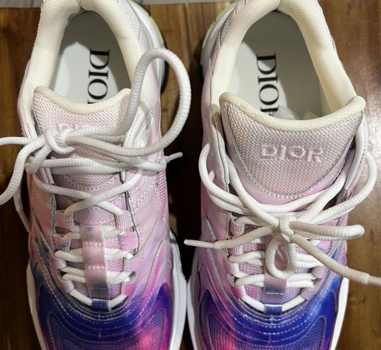 Cd1 Dior Sneaker