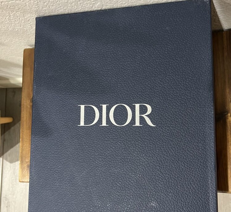 Cd1 Dior Sneaker